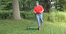 Man Moving the Lawn