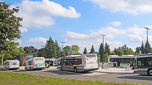 Stratford Transit buses